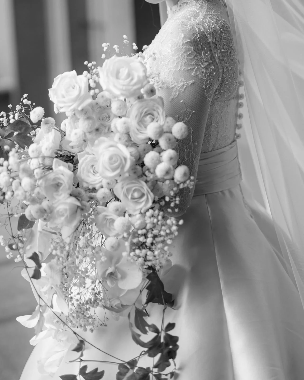 WhatsApp Image 2026-03-11 at 12.57.10.jpeg