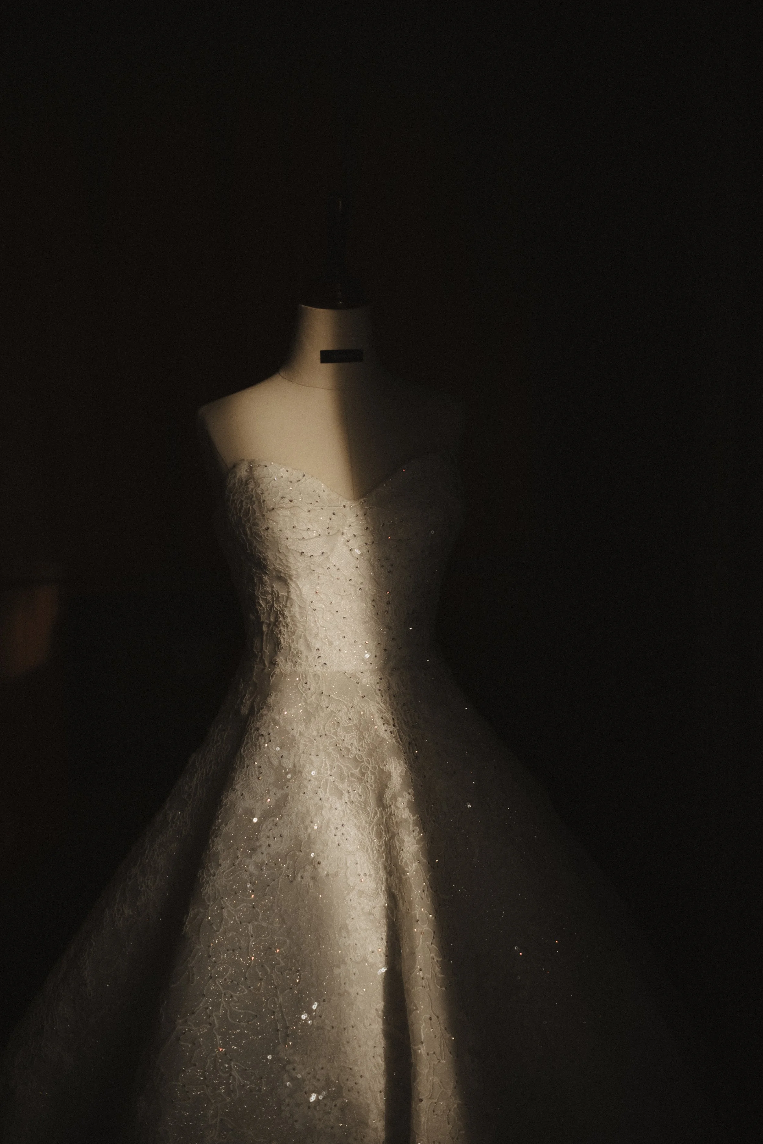 DSCF9549.jpg