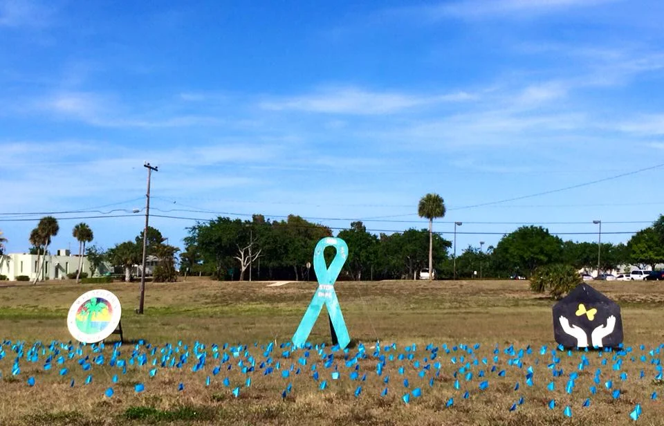 Hundreds of flags symbolizing victims of sexual violence in Palm Beach County in 2014