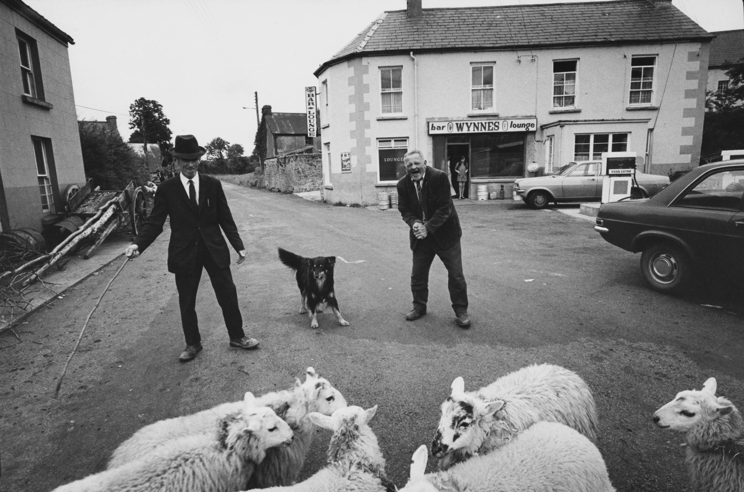 Ireland - A love story