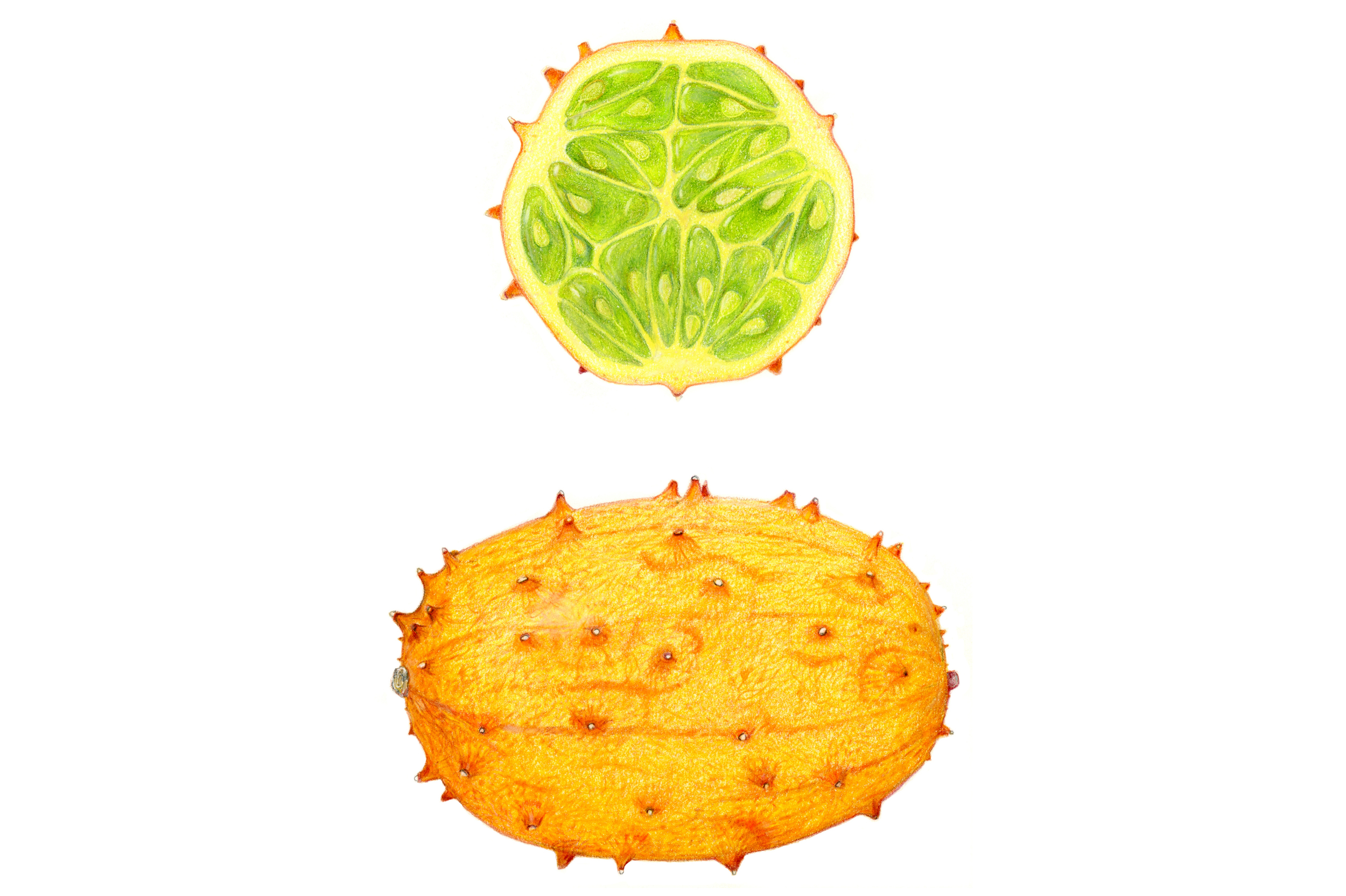  http://www.sarahmelling.com/2014/09/horned-melon.html 