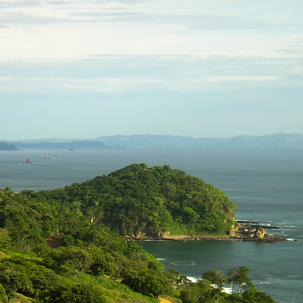 Discover Paradise Bay