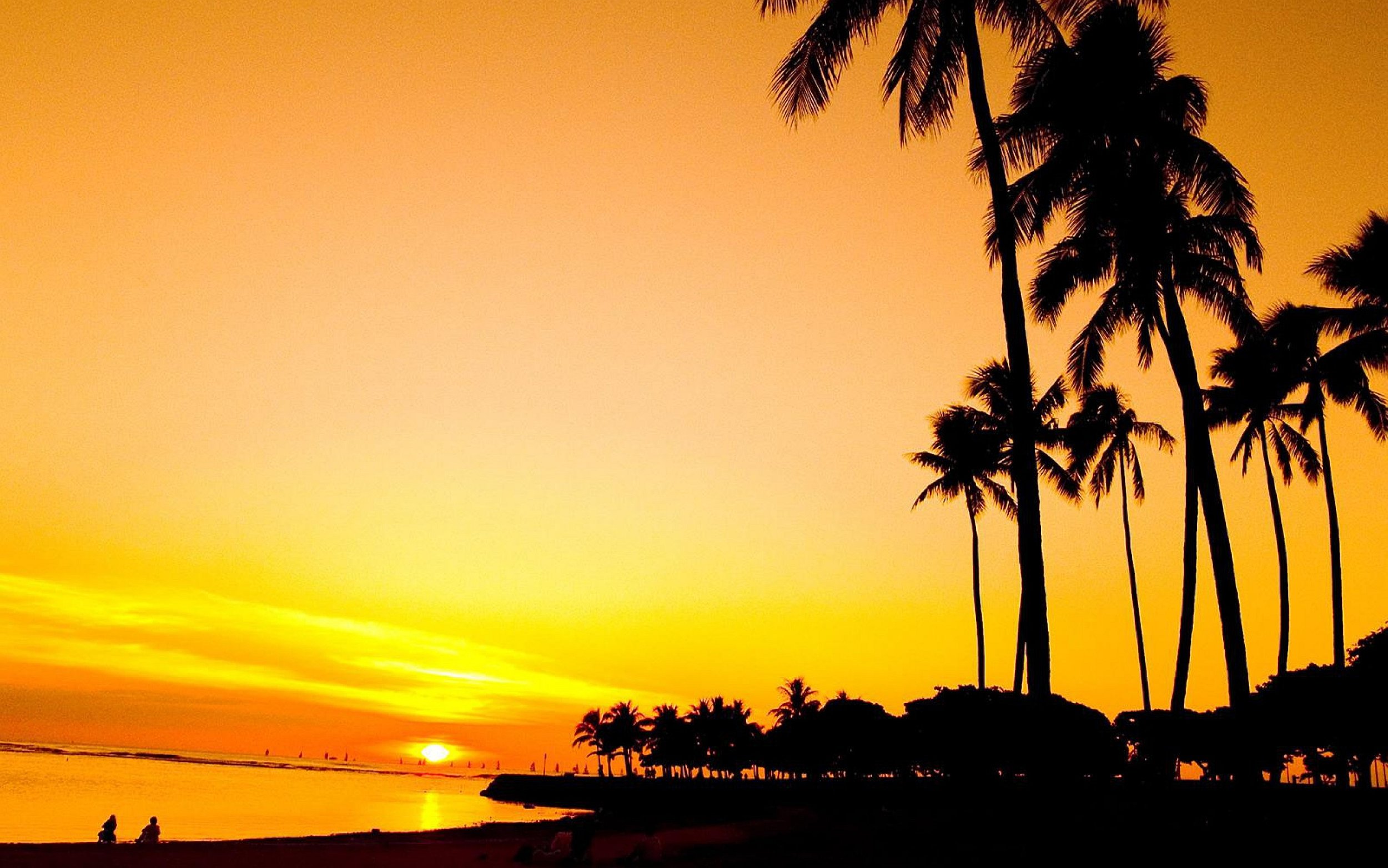 6926653-sunset-palm-beach.jpg