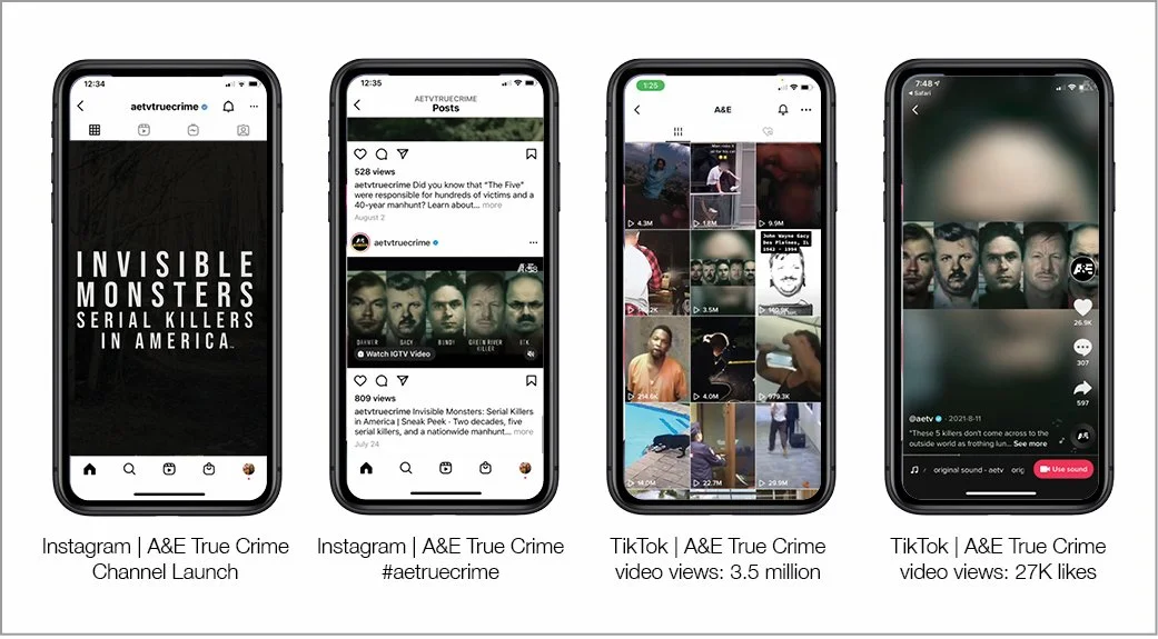 A&E True Crime for SS 2.jpg