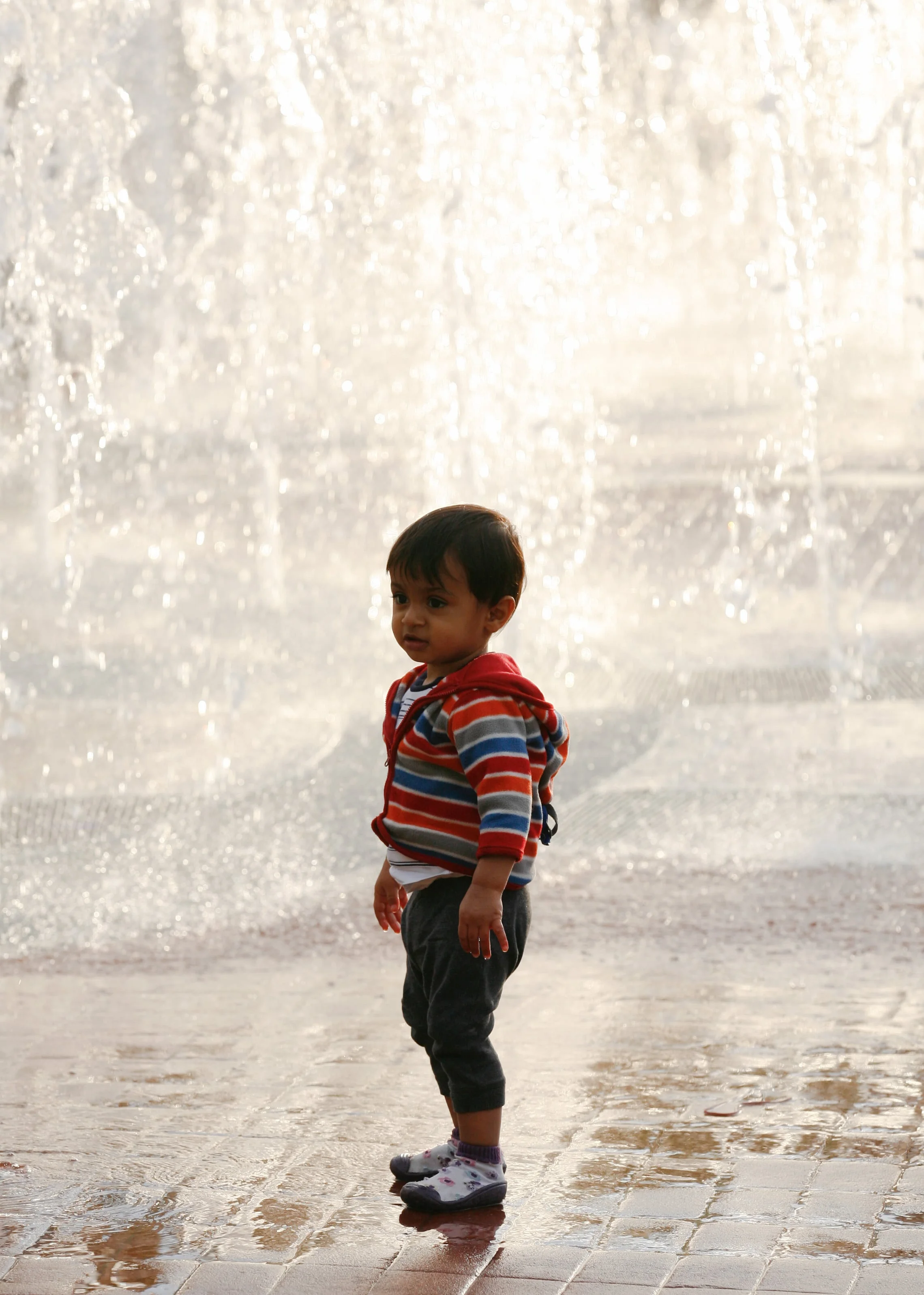 Precious Playful Moments