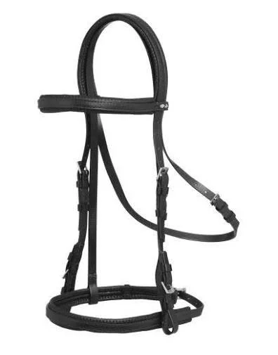 bridle.jpg