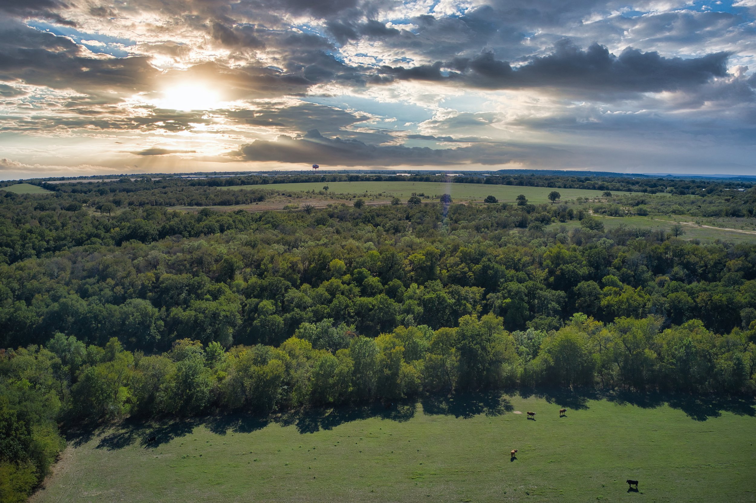 Parker County Ranch For Sale