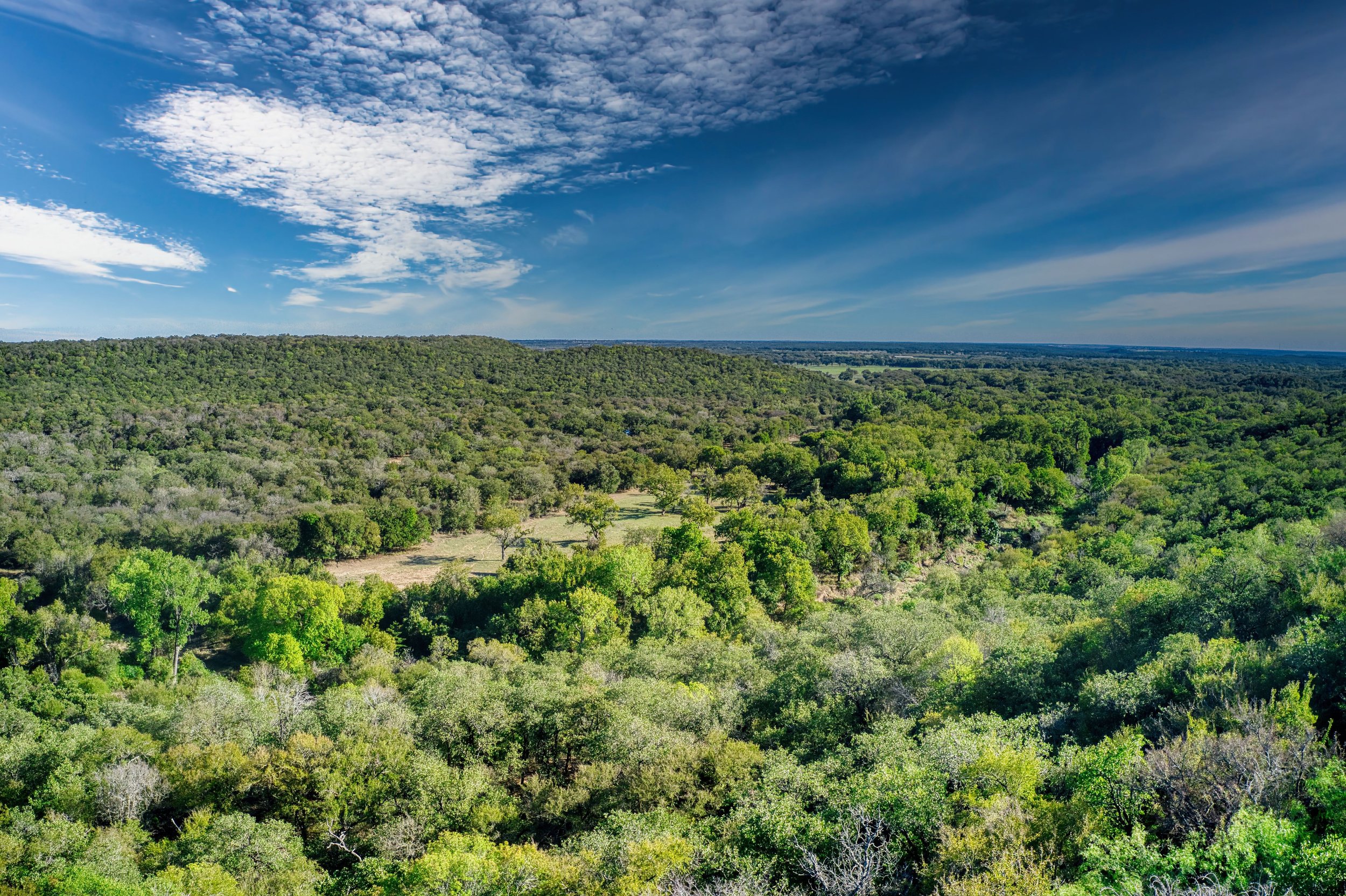 DFW ranch for sale 