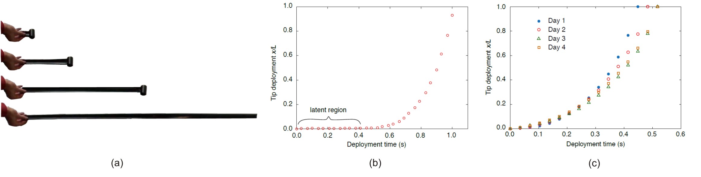 Snapshots of the deployment of composite tape spring (a). Latent region of no deployment (b) and evolution of deployment time with an increasing stowage of the specimen (c).