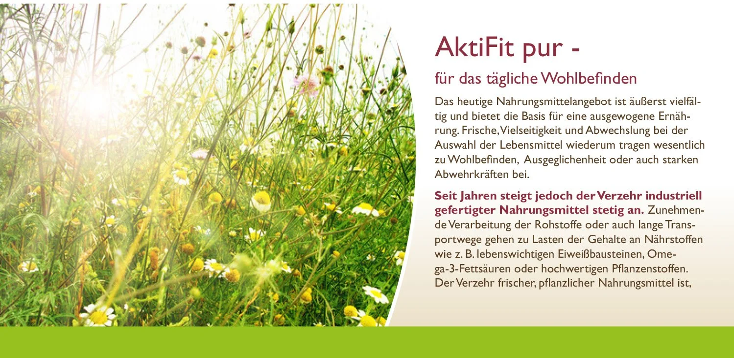 Aktifit-Kundenbroschuere-2.jpg