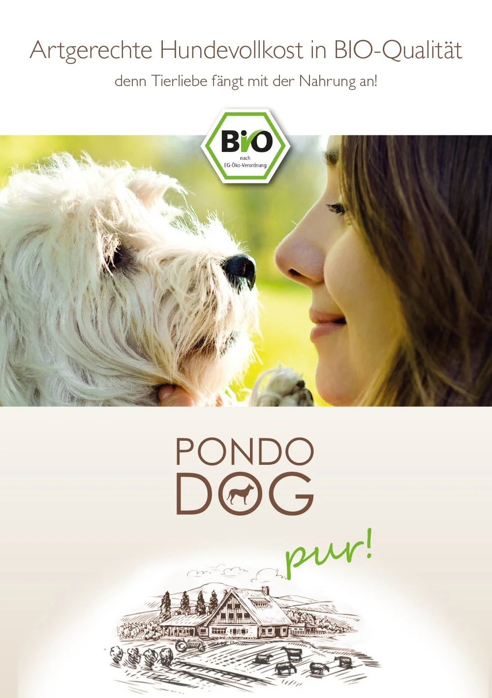 Pondodog-1.jpg