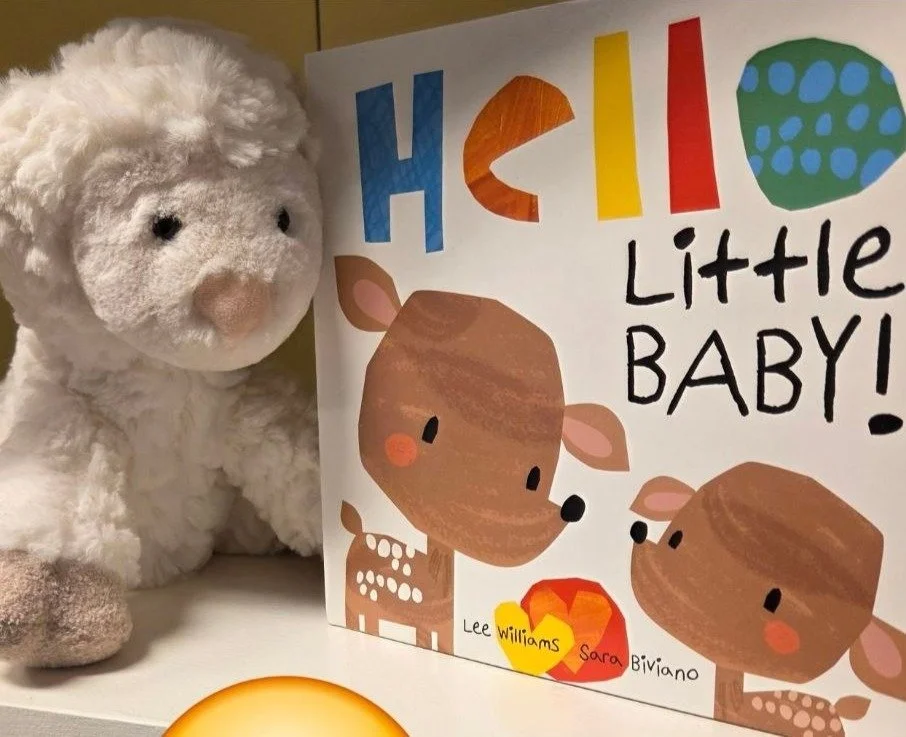 Hello Little One Lifestyle image.JPG