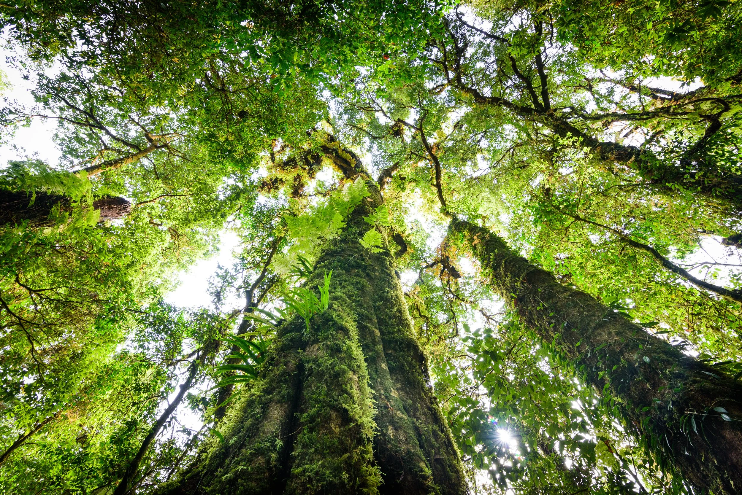 Sabine Plaster Praxis Theki Theta Healing Psychokinesiologie