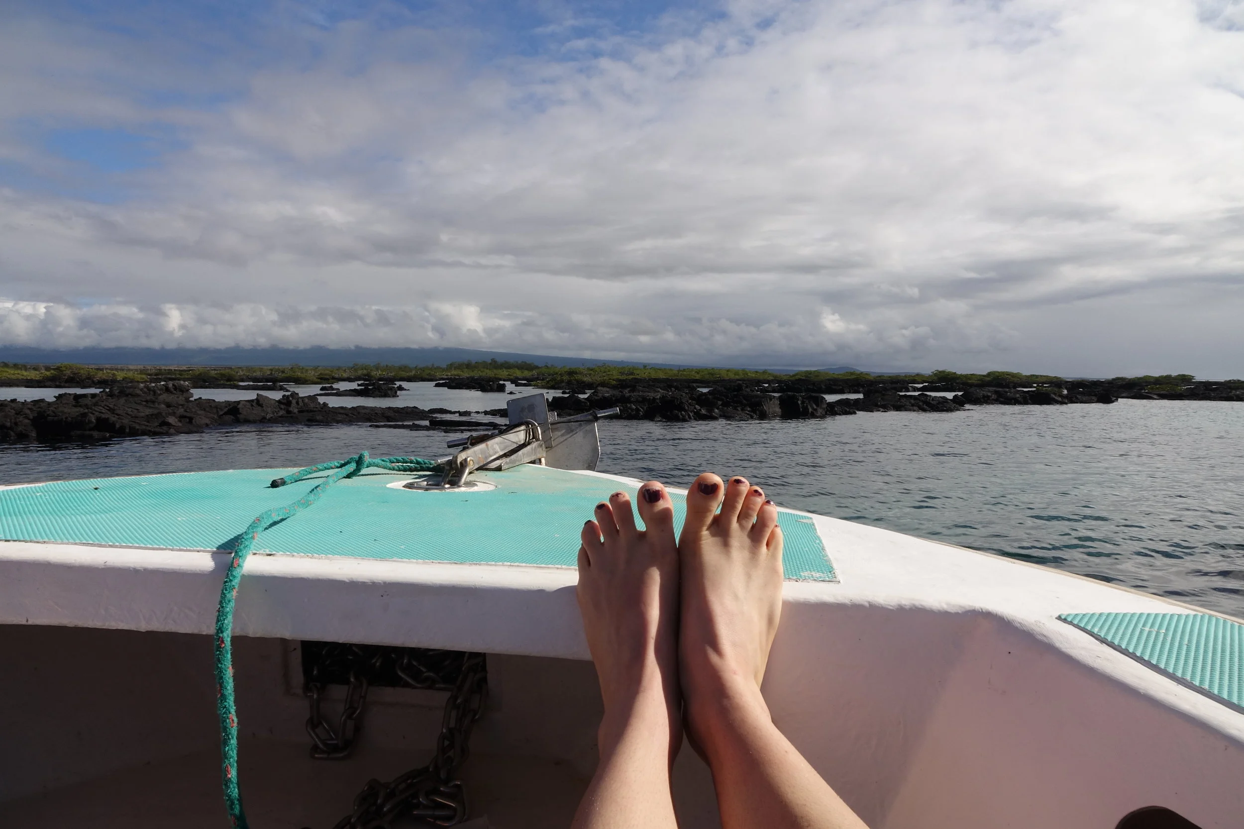 DSC07898.JPG