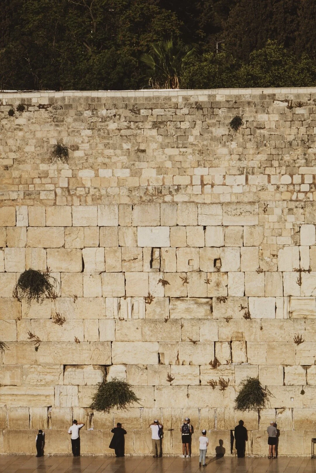 WesternWall.JPG