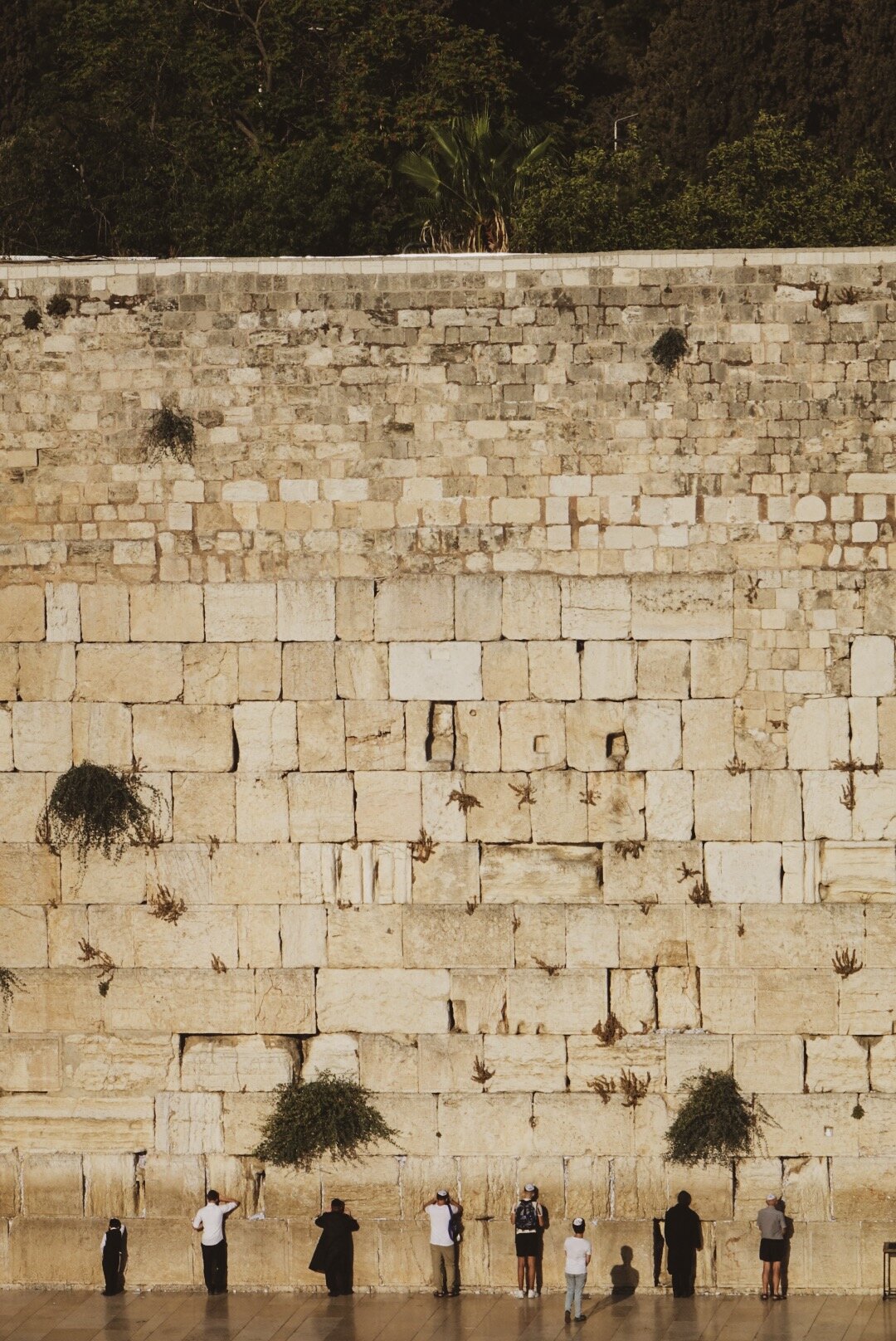 Western Wall Prayers in Jerusalem 