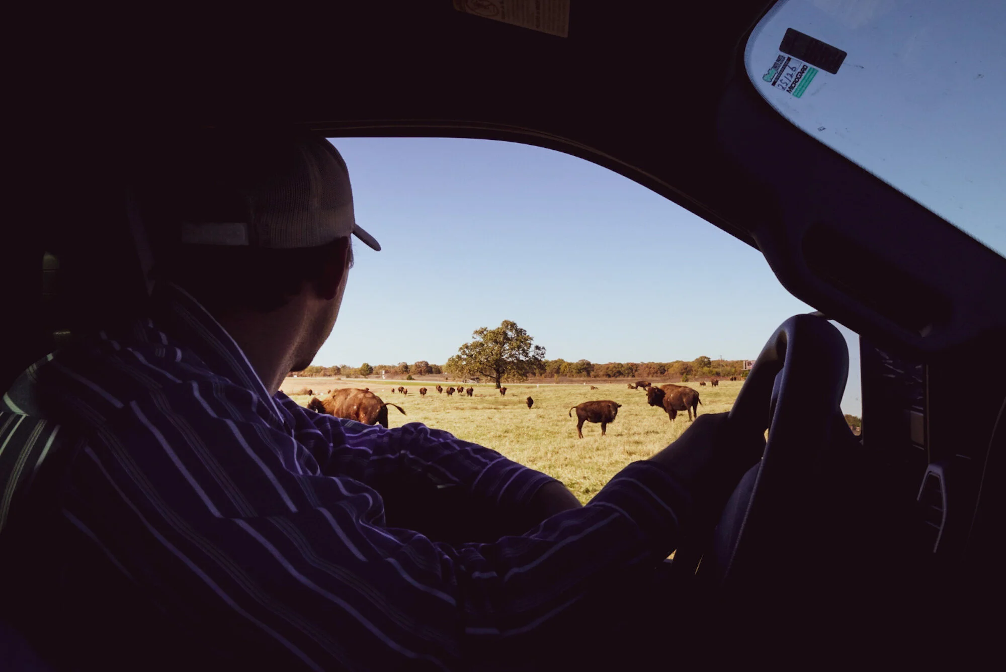 View from Albright's truck in the fields .JPG