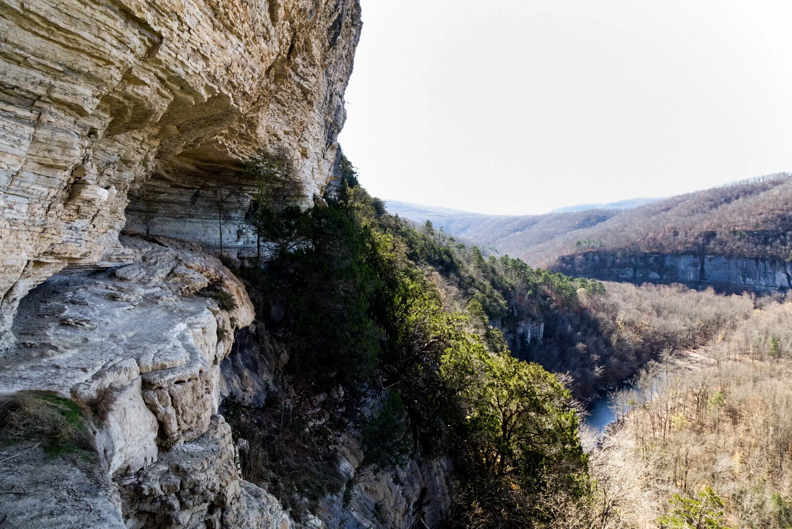 _DSC9858.JPG