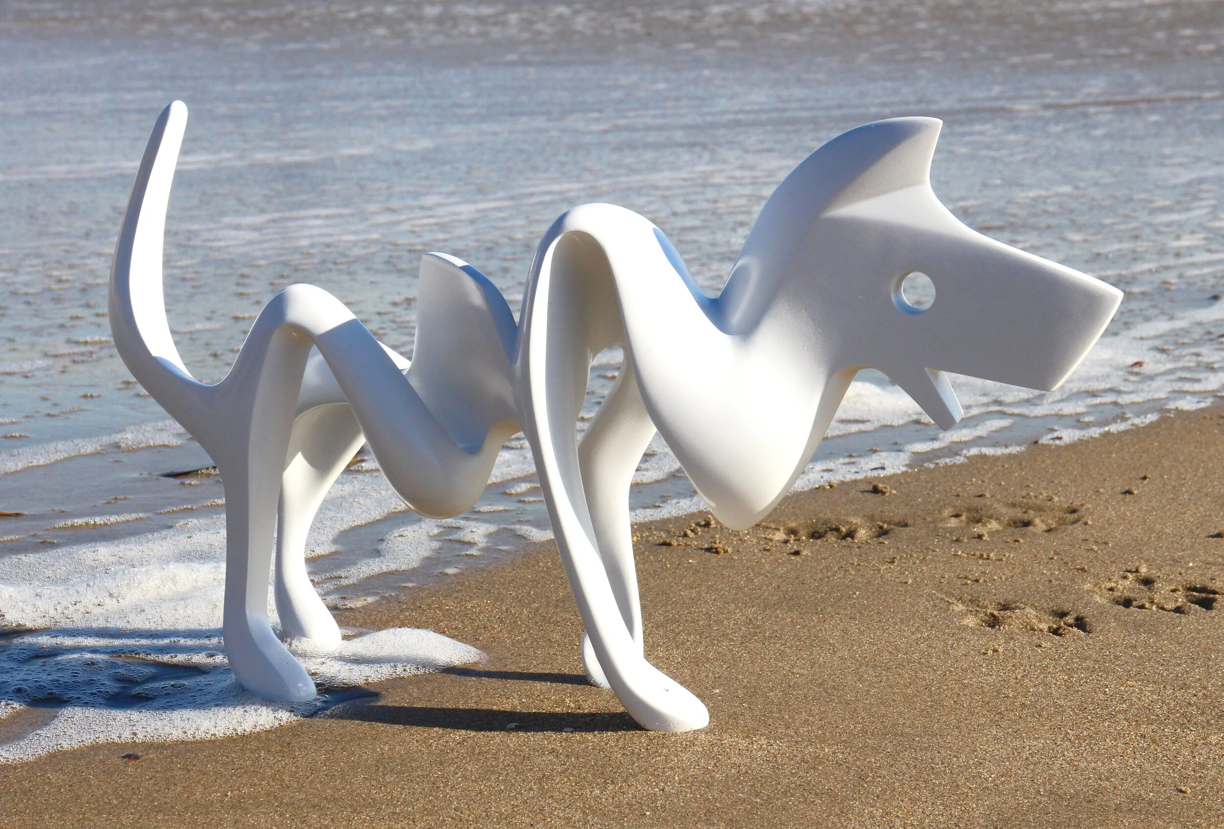 Scribbledog @ ITS Beach in Santa Cruz, CA