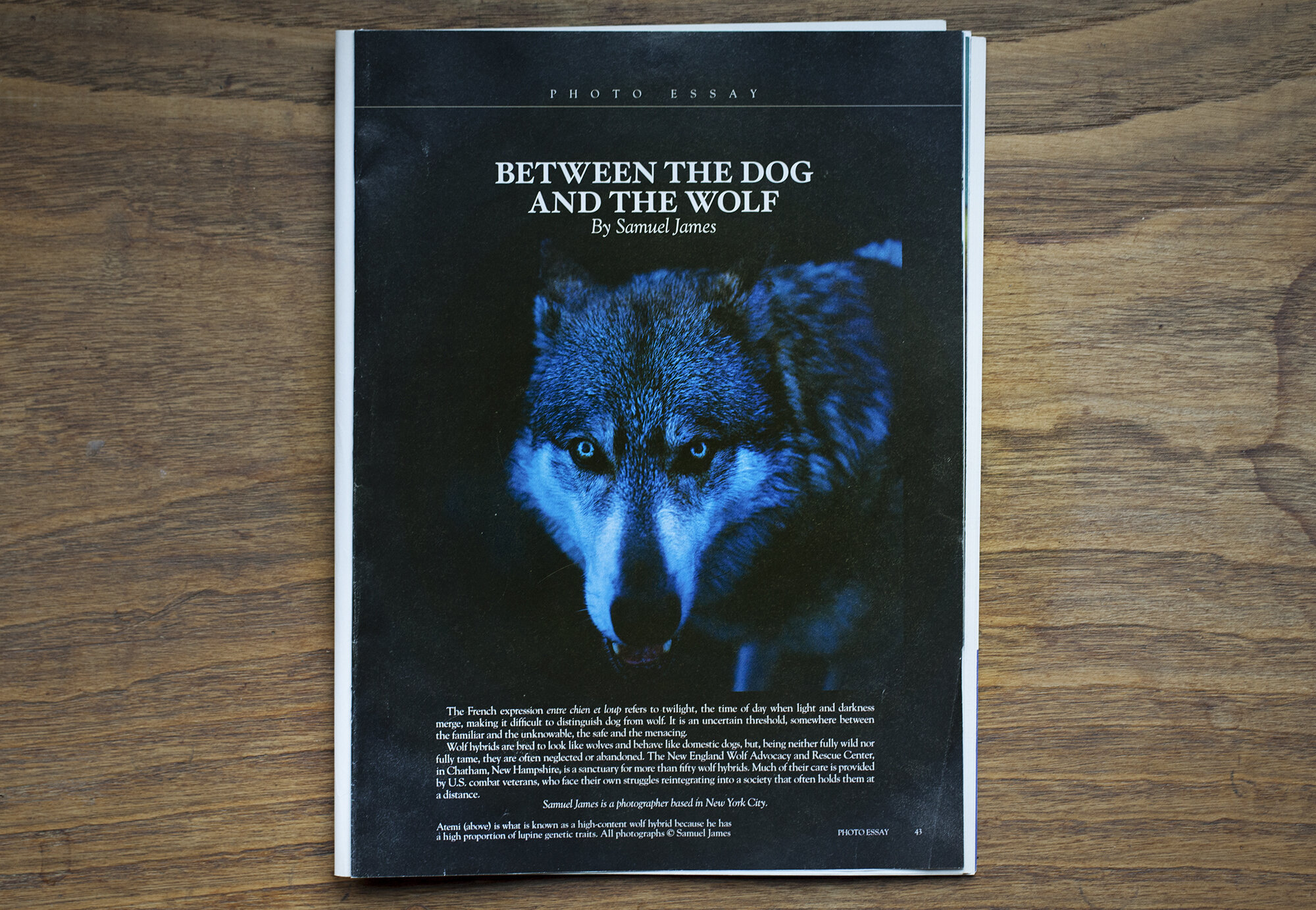  “Between the Dog and the Wolf,”  Harper’s Magazine , February 2015 