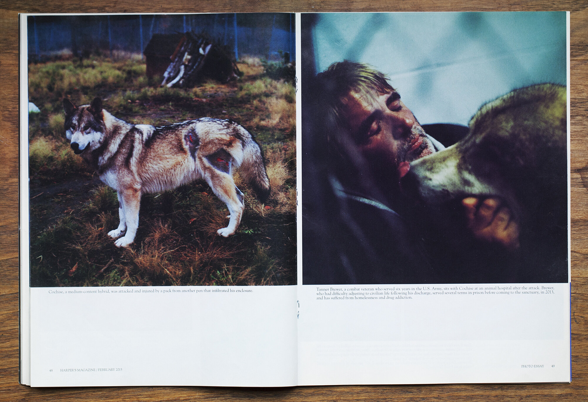  “Between the Dog and the Wolf,”  Harper’s Magazine , February 2015 