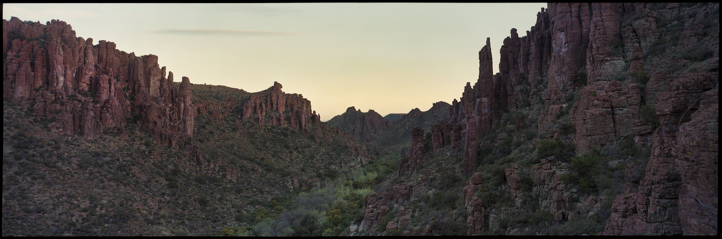  Riparian corridor, Ga’an Canyon, Arizona 