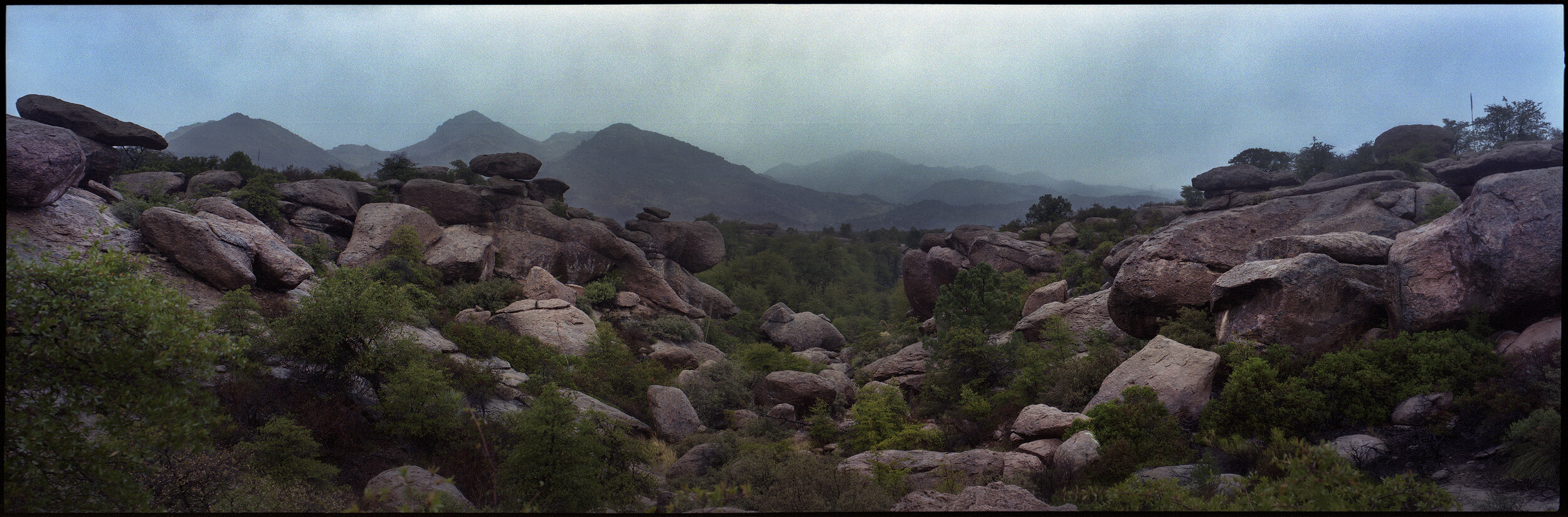  Winter rain, Chi’chil Biłdagoteel (Oak Flat), Arizona 