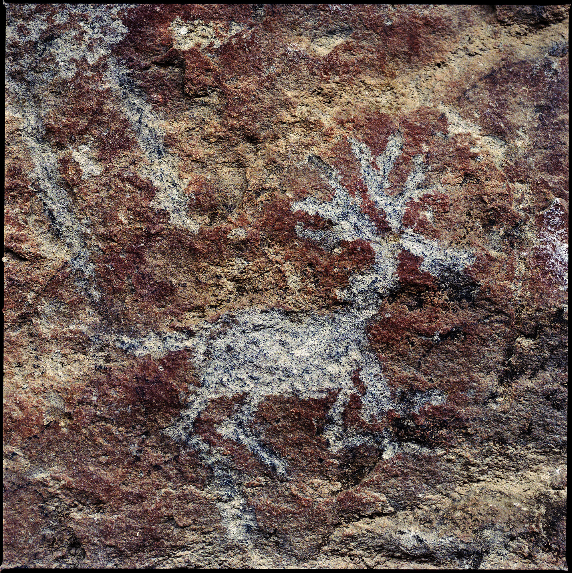  Chi’chil Biłdagoteel (Oak Flat), Arizona 