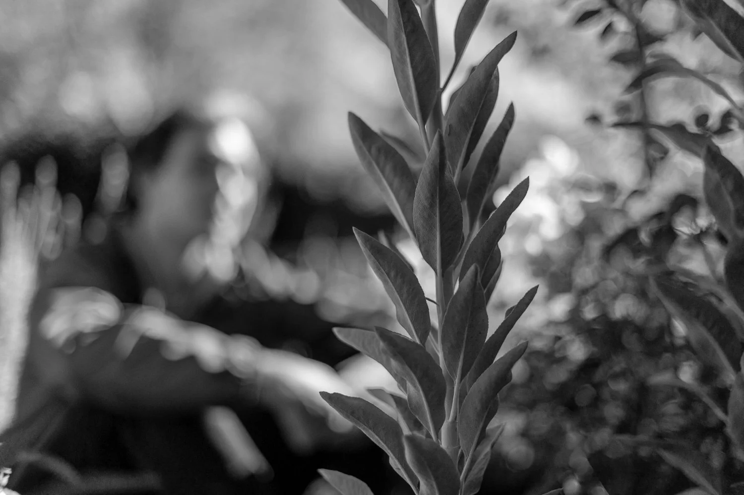 _1Z65822-14.jpg