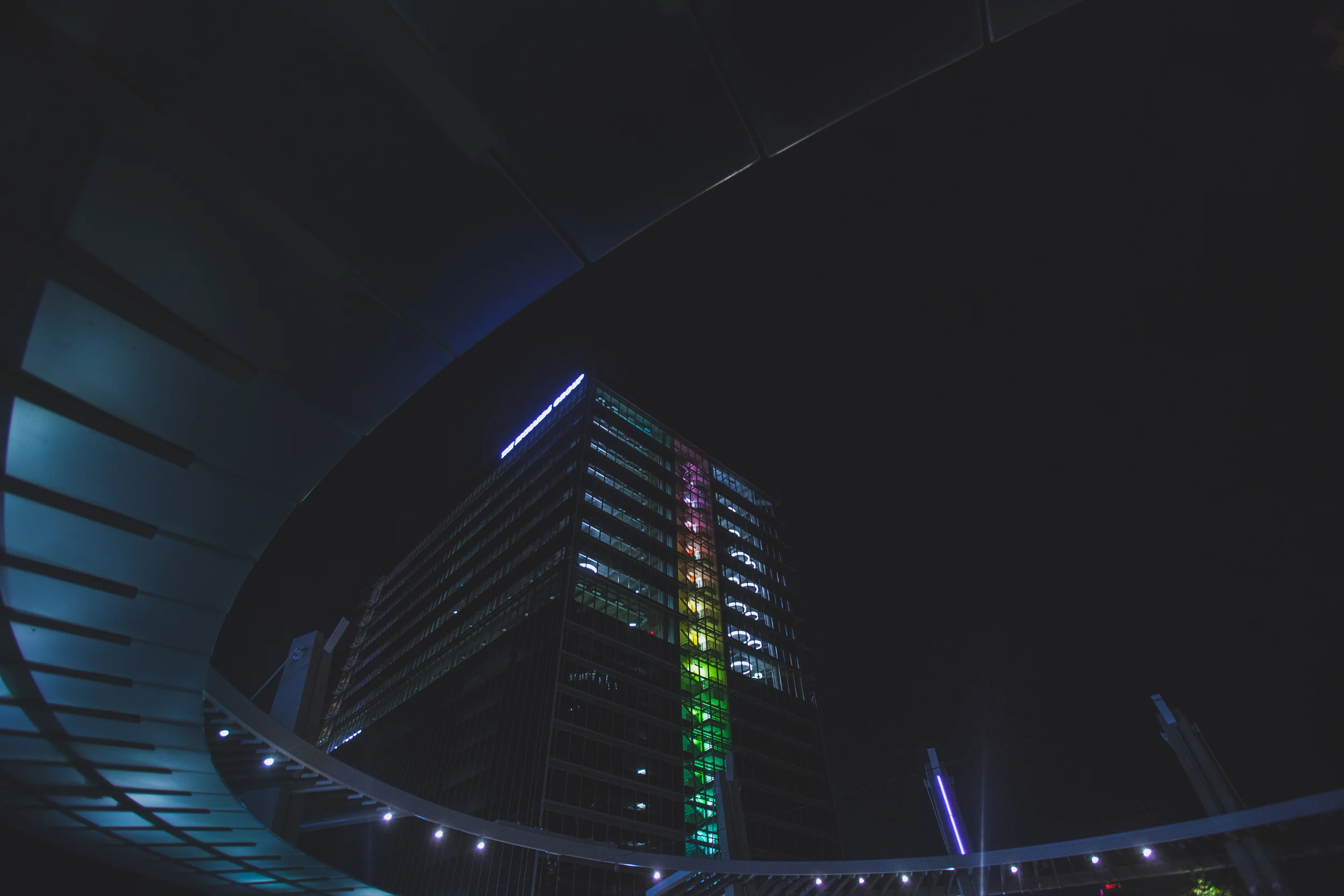nightwalk1-3.jpg