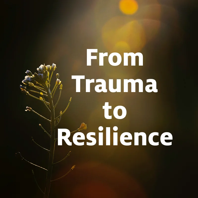 Trauma-Informed Education