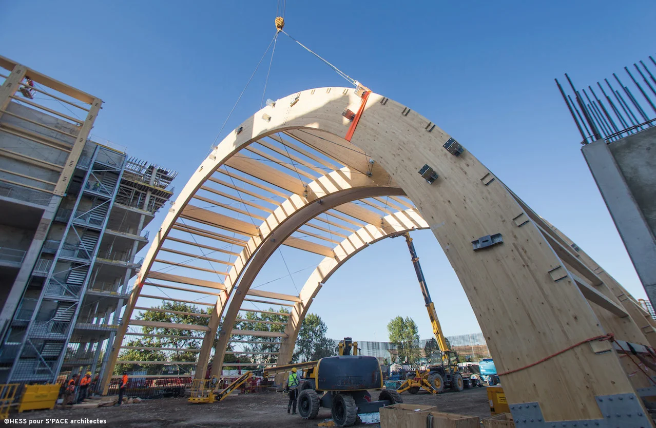 leeds-rerf-wooden-arch-7827-4.jpg