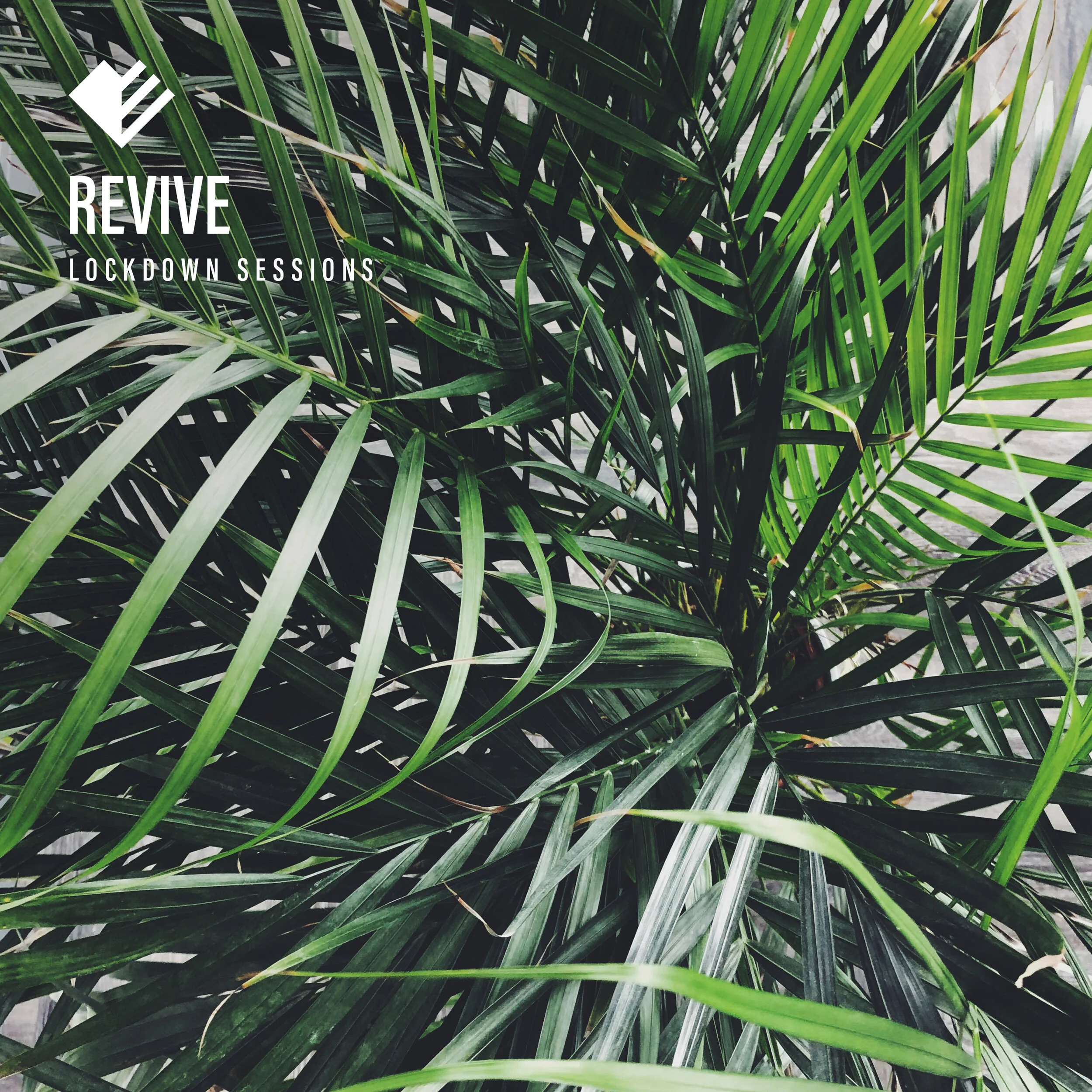 3 - Revive.jpg