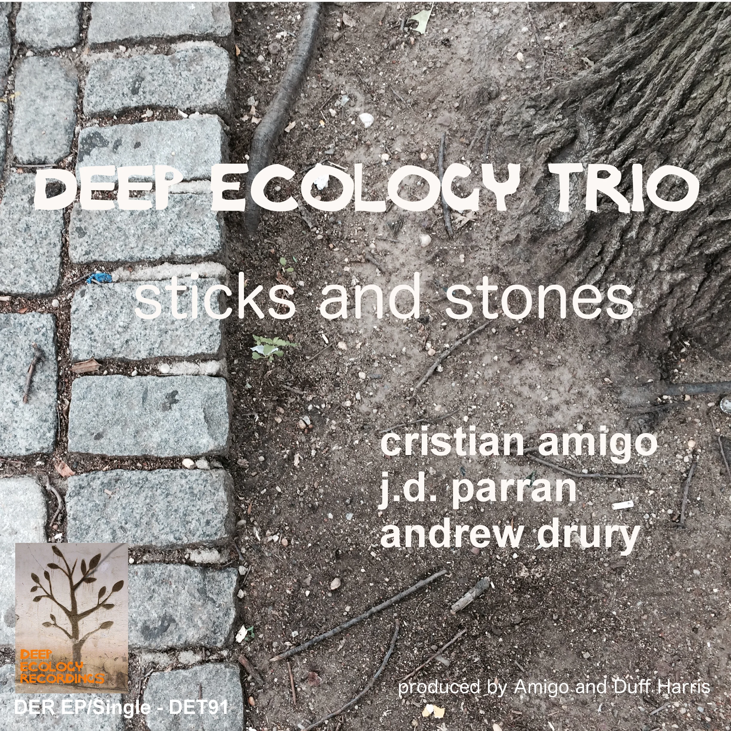 Deep Ecology Trio - Sticks and Stones.jpeg