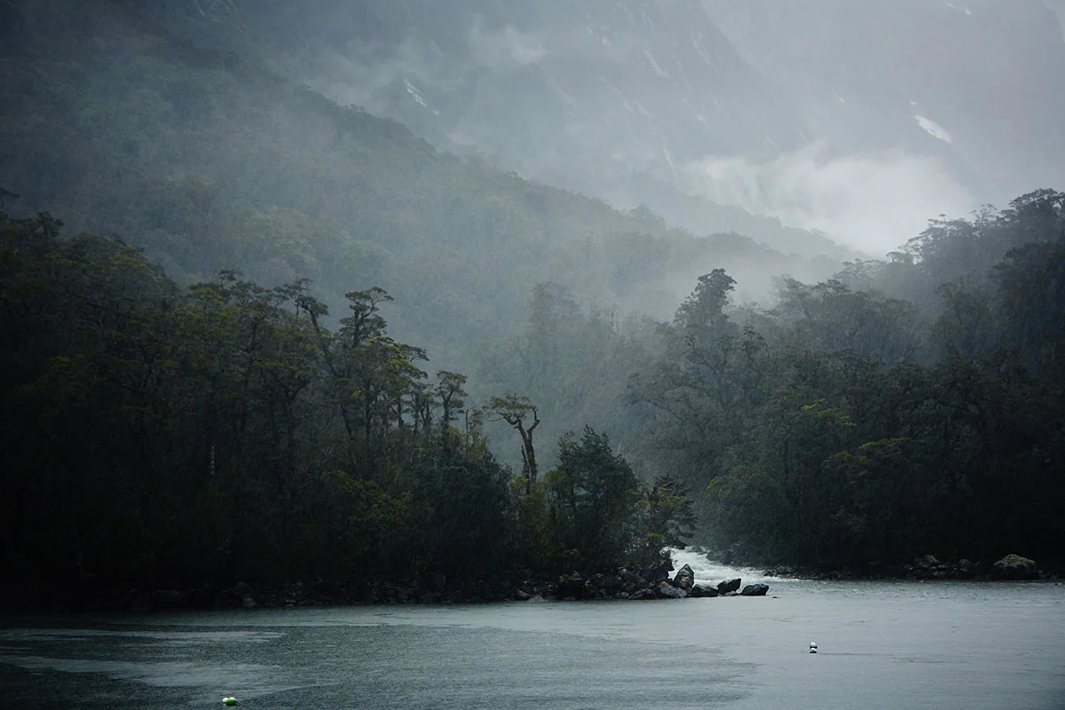 Fiordland-2013-JR--0314.jpg