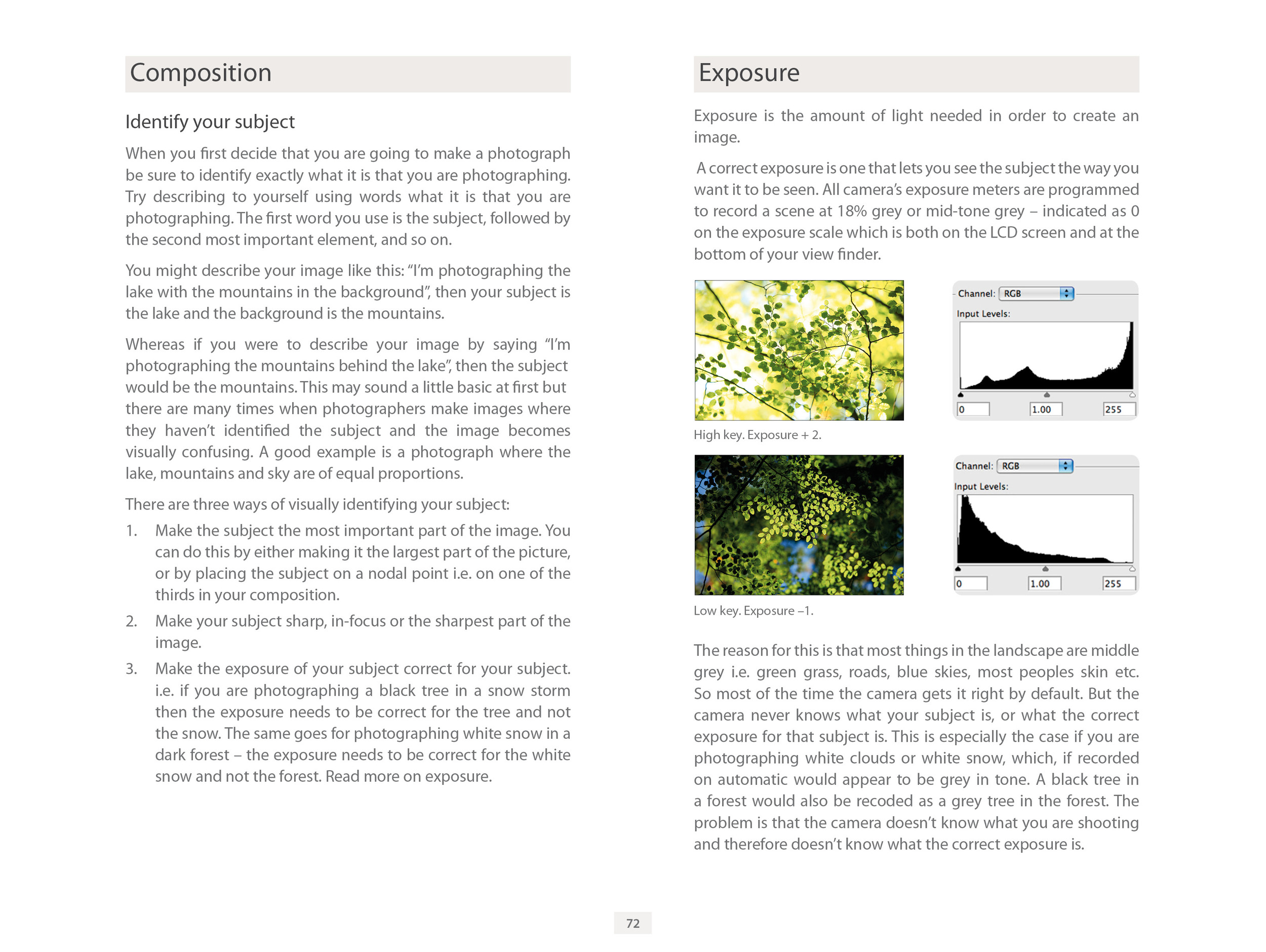 LG1 ebook for Flatbooks page 72 Composition & Exposure.jpg