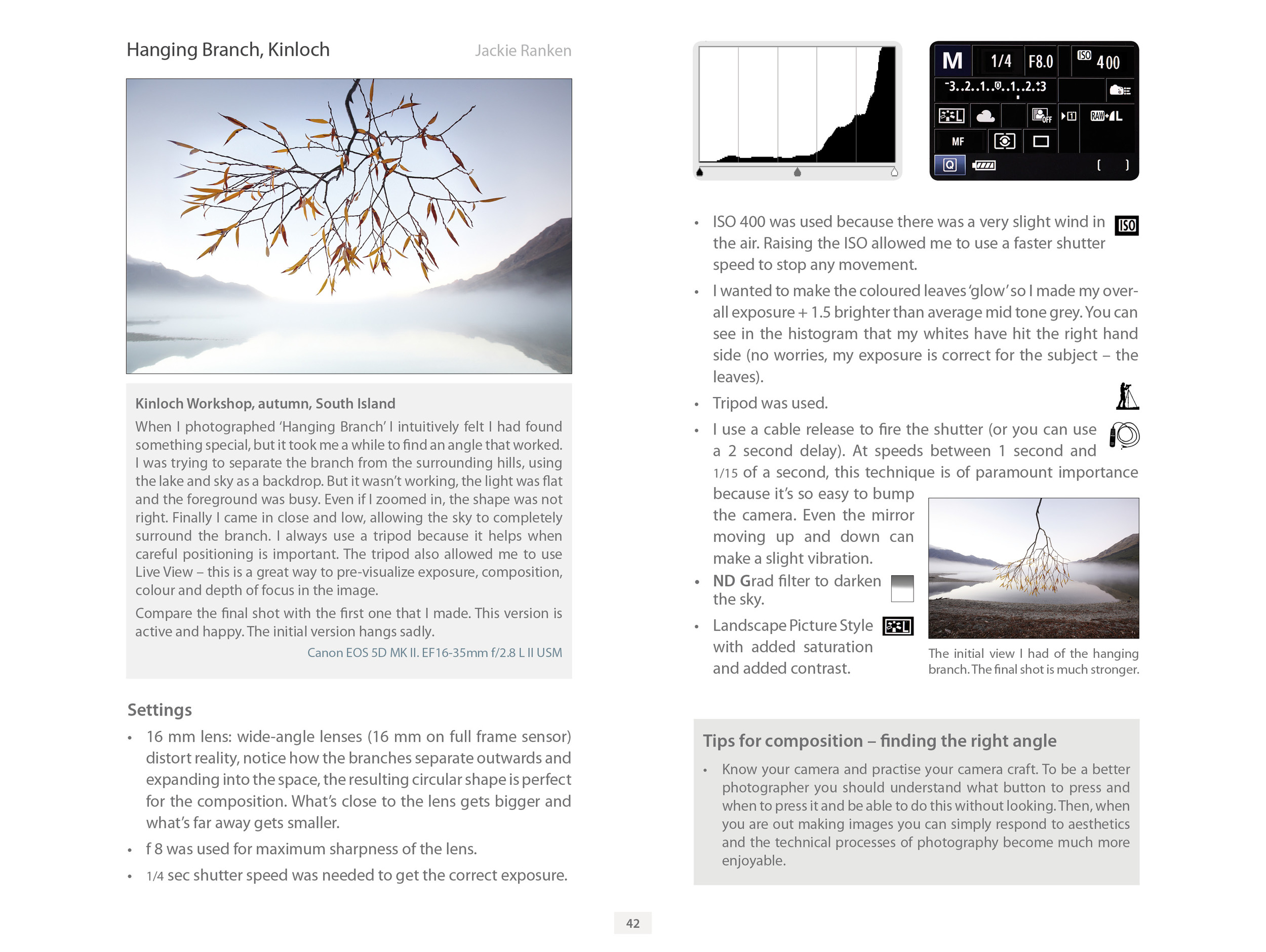 LG2 ebook for Flatbooks p 42 Hanging Tree.jpg