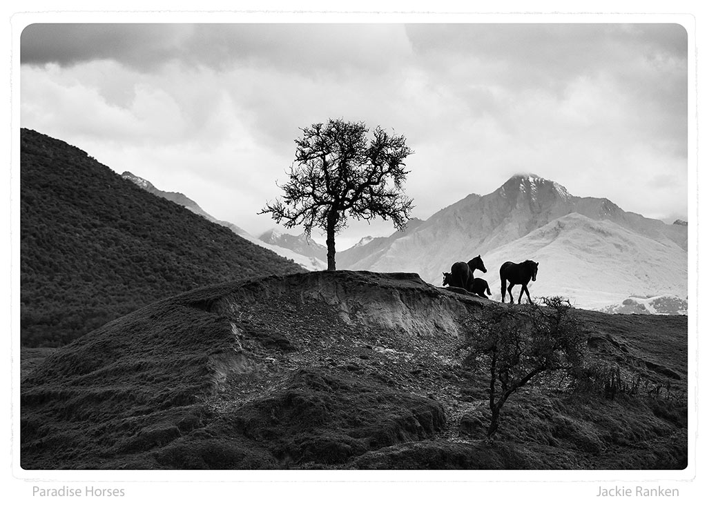 25-Paradise-Horses-Ranken.jpg