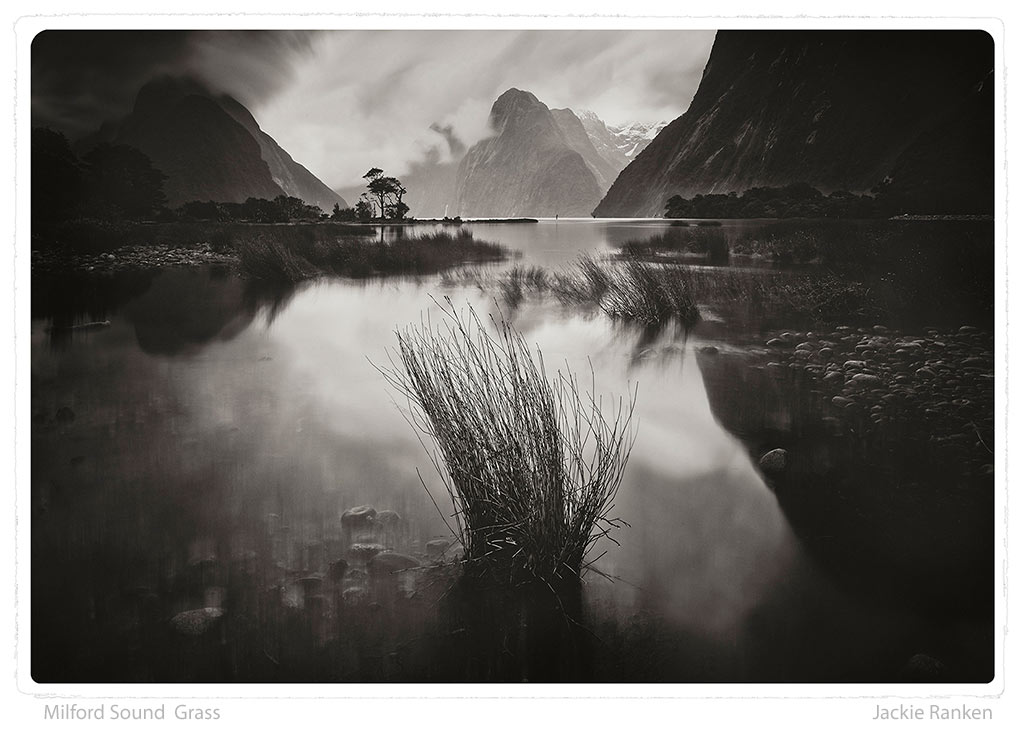 Milford Sound by Jackie Ranken