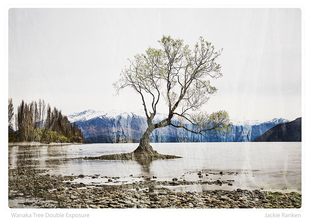 37-Wanaka-Tree-Double-Exposure-Ranken.jpg