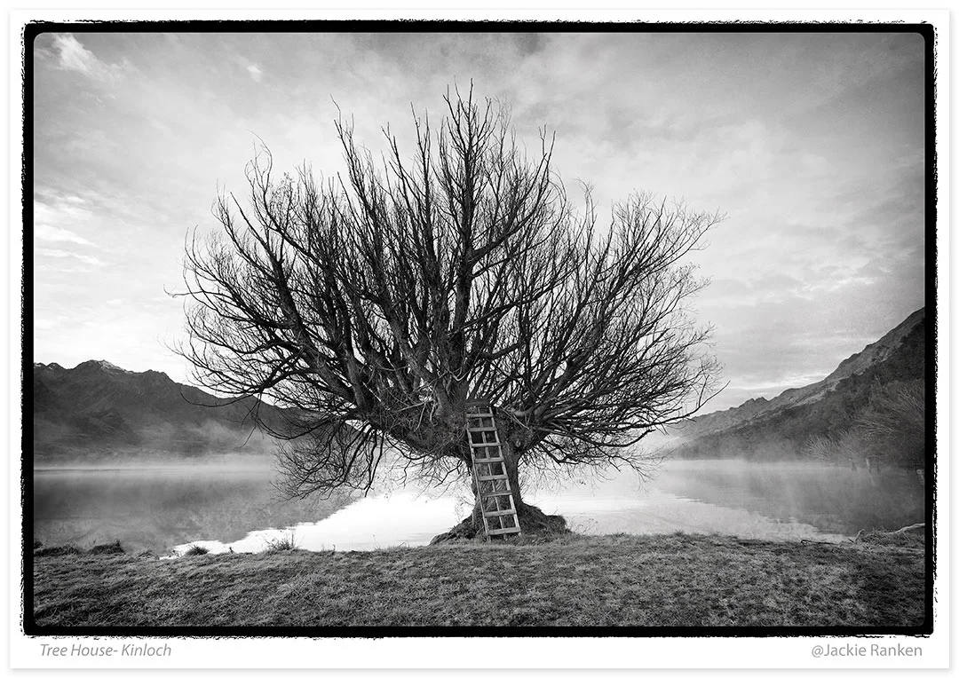 10-Kinloch-tree-JR.jpg