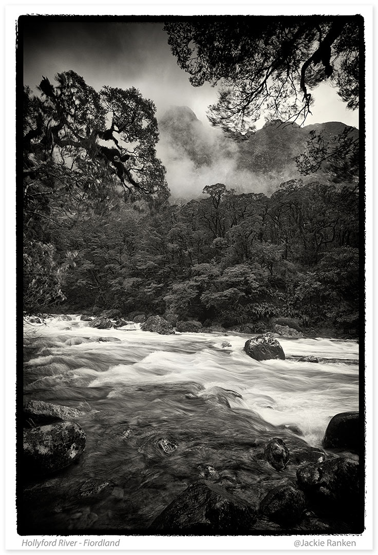 Hollyford River Jackie Ranken