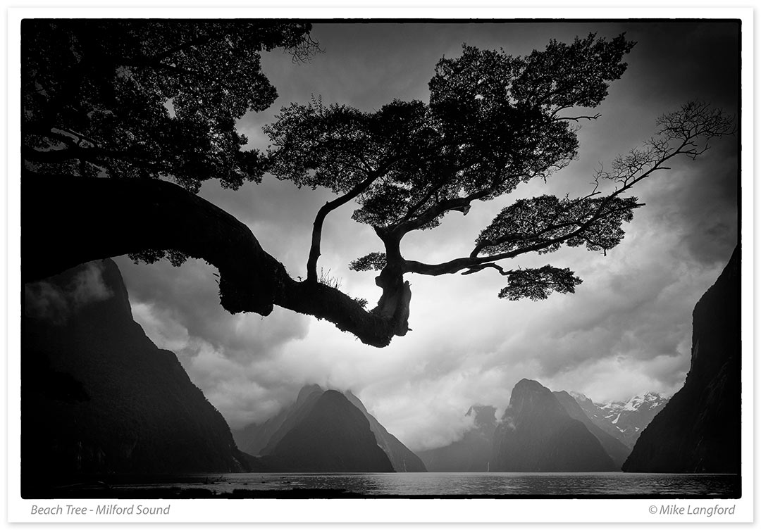 Milford Sound-Mike Langford