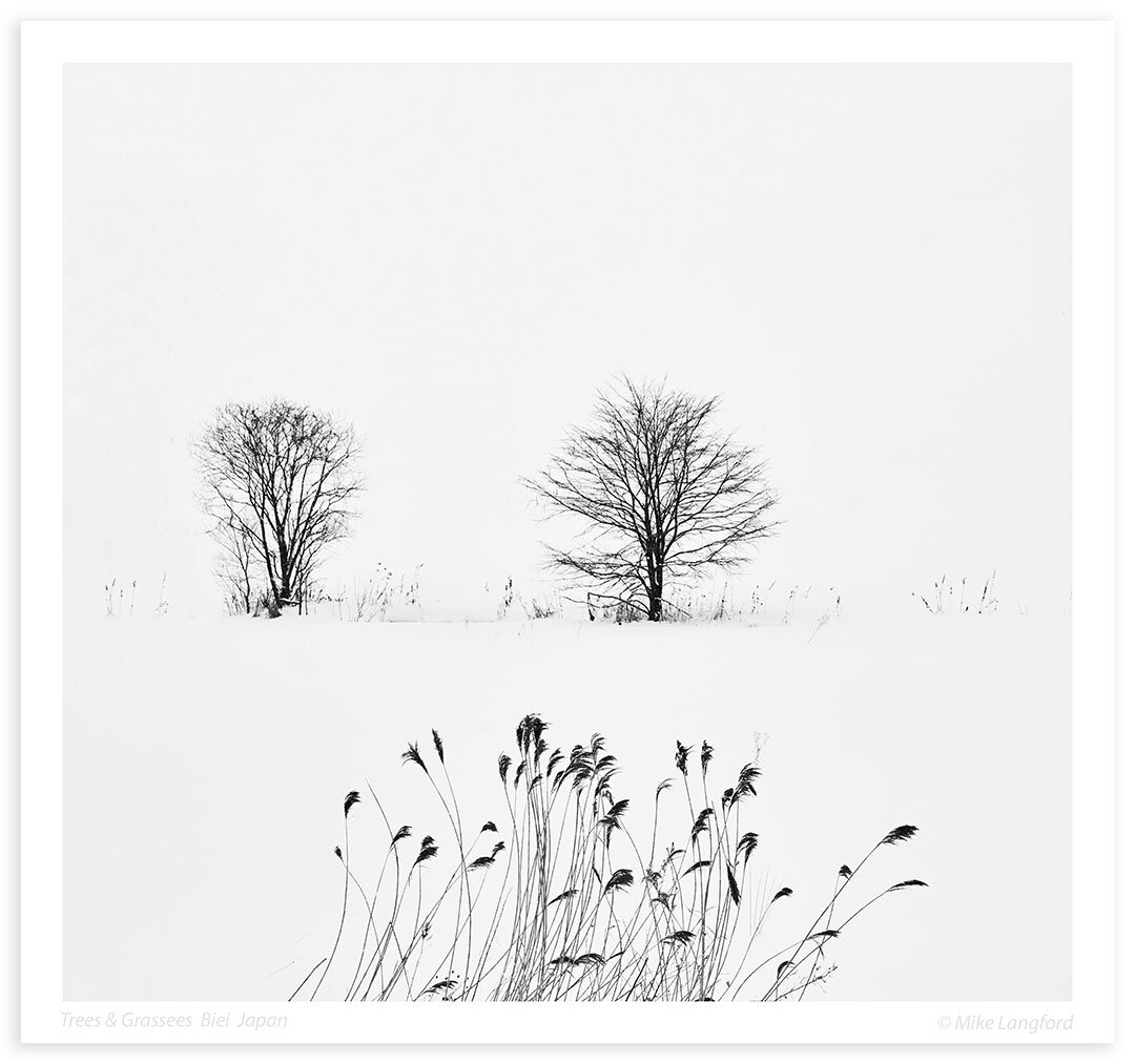 Trees-&-Grasses-Biei-2.jpg