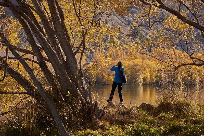 Autumn Colour in the Mackenzie Valley