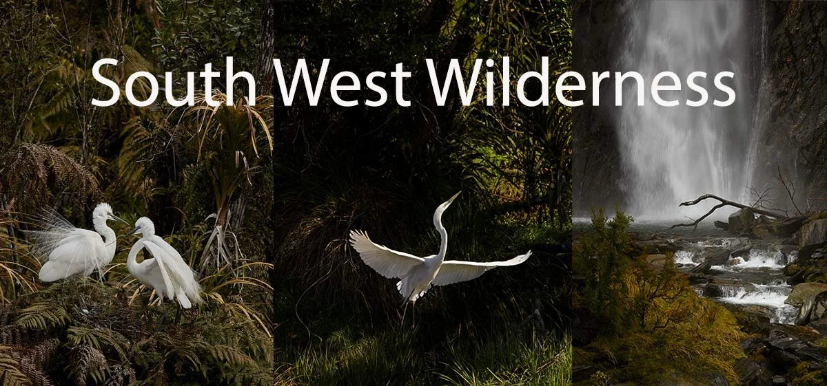 South-West-Wilderness-Banner 26.jpg