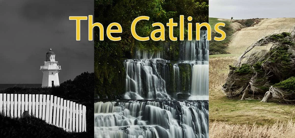 The-Catlins-Banner.jpg