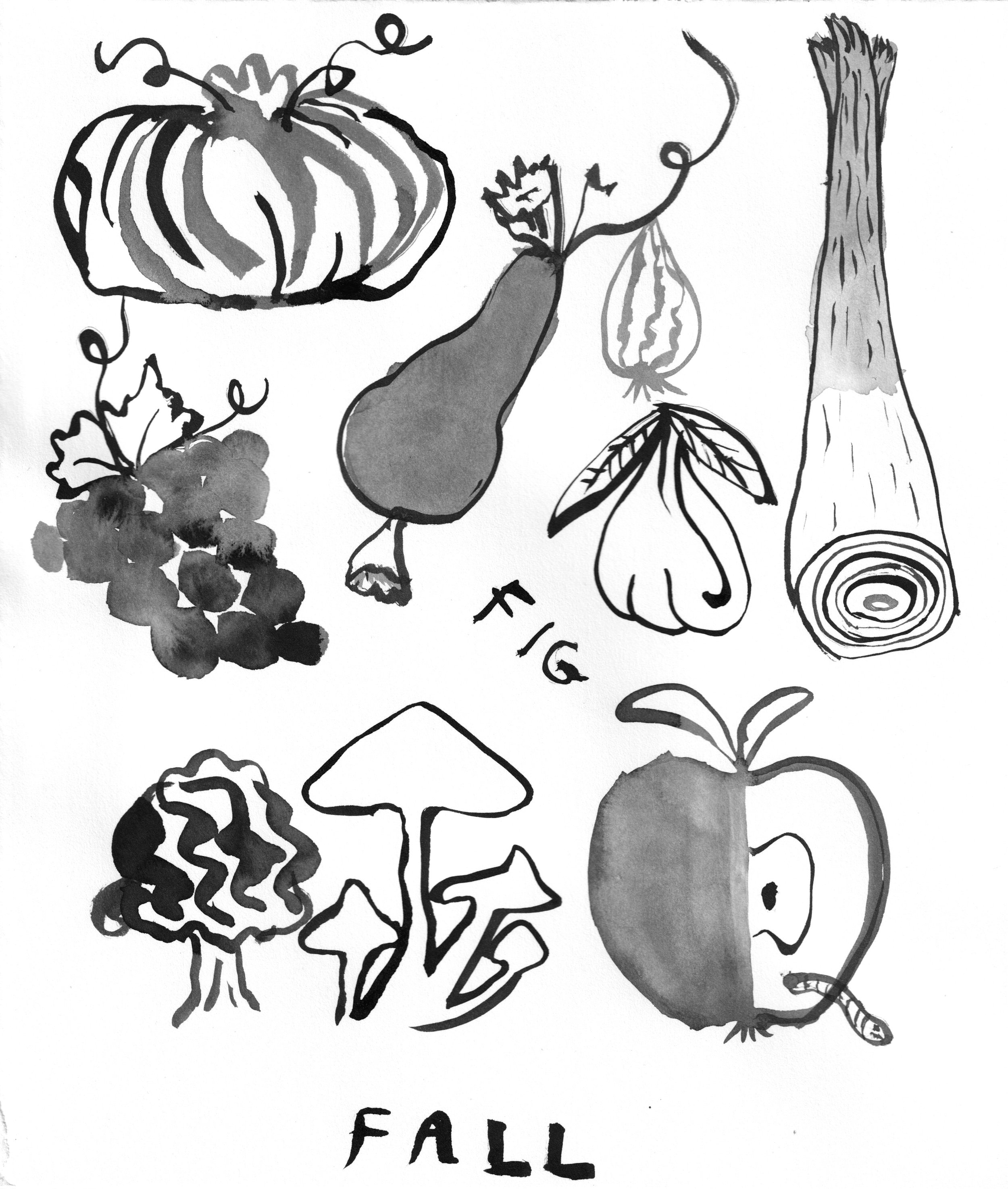 4h-spots-fall copy.jpeg