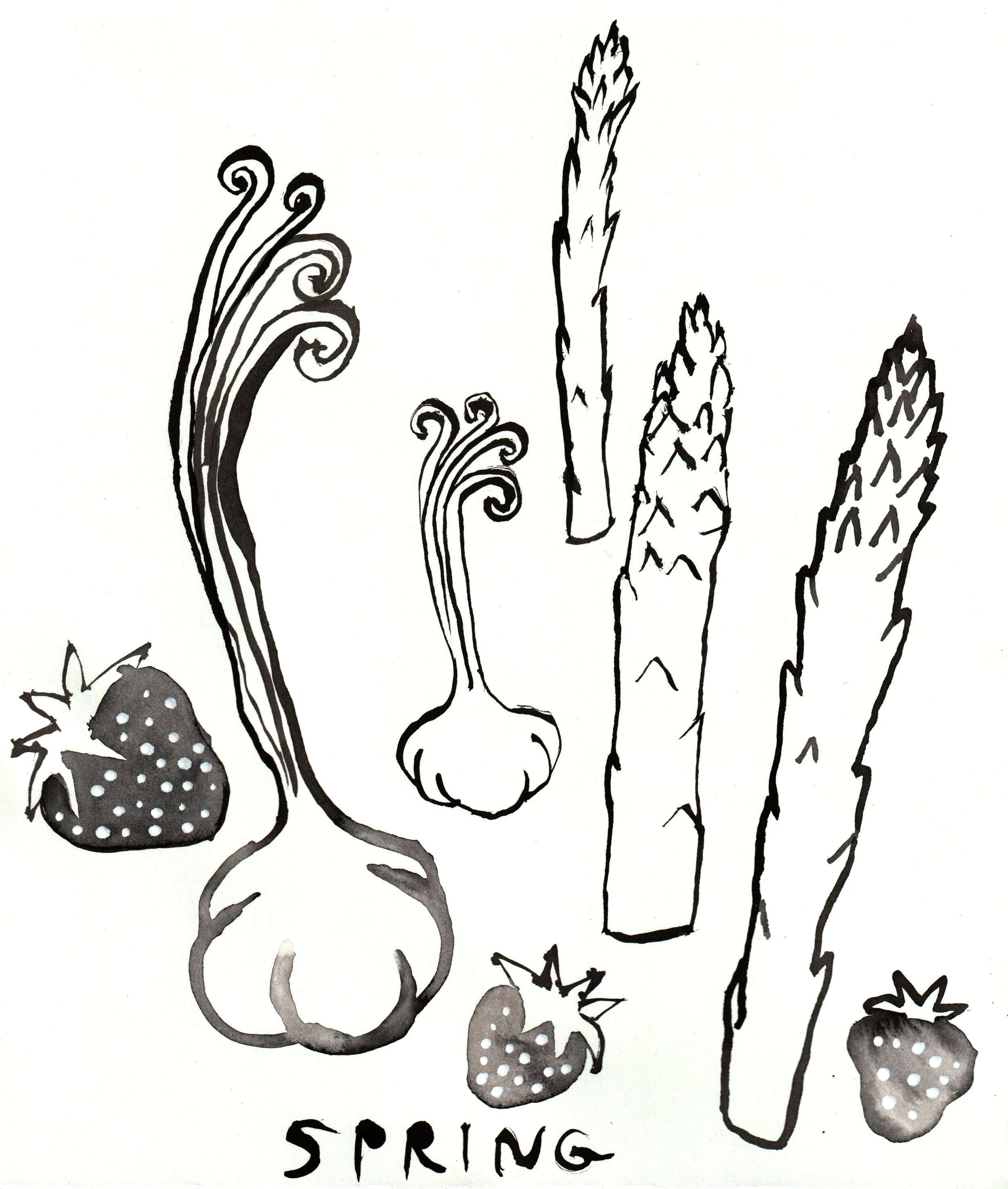 4h-spots-spring copy.jpeg