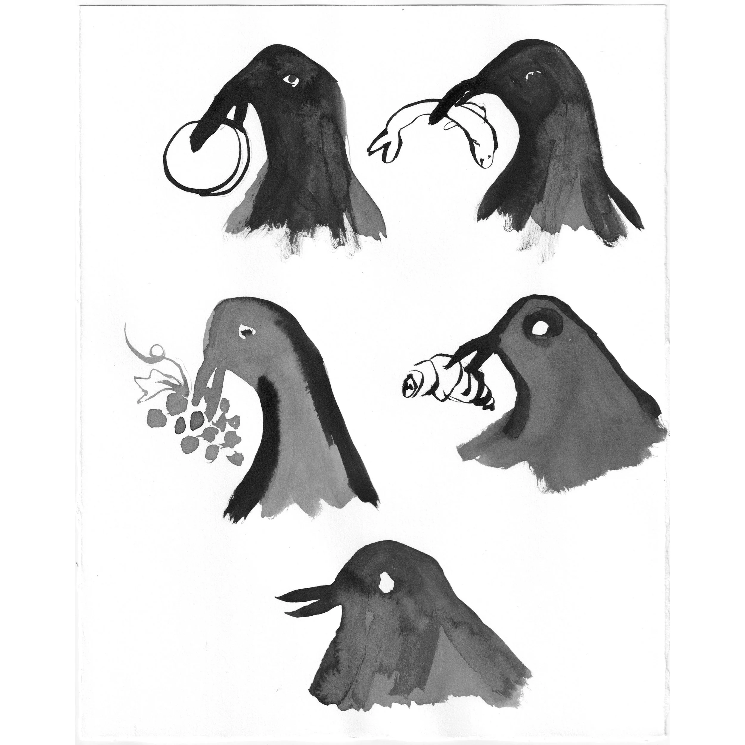 blackbird-study-07-sq.jpg